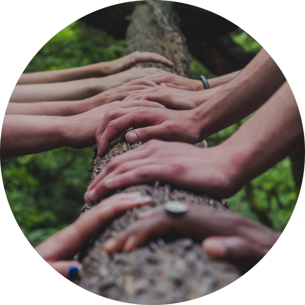 Hände Frauen Baum Natur Verbindung Gemeinschaft