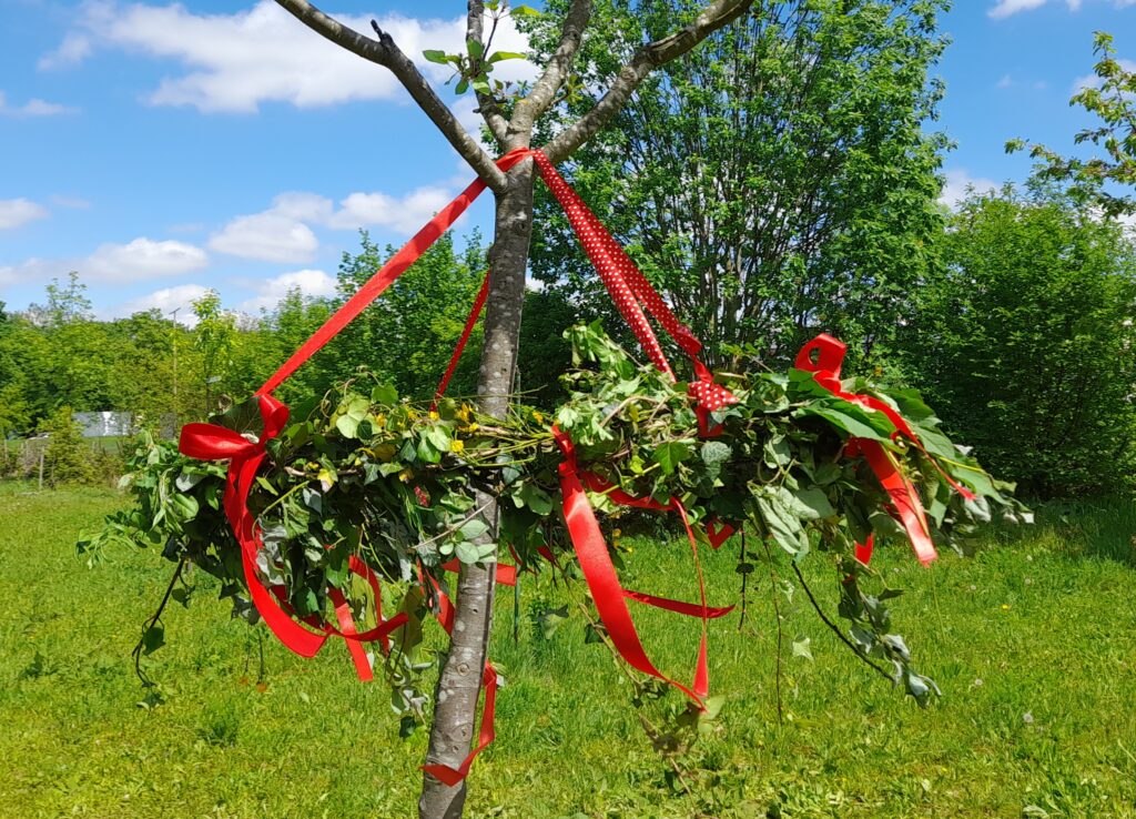 Baum mit Maikranz