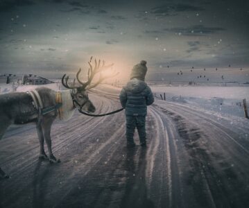 Winterfee und Weihnachtsstern: Geschichtennachmittag für Familien am 20.12.2025